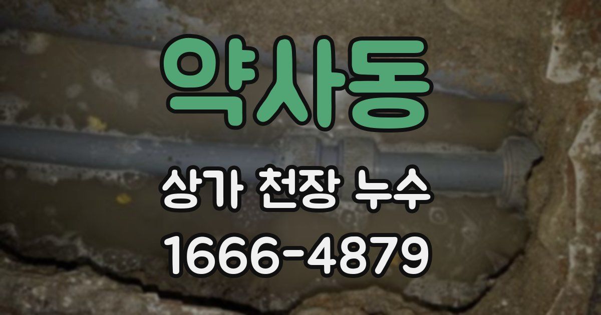 약사동 상가 천장 누수