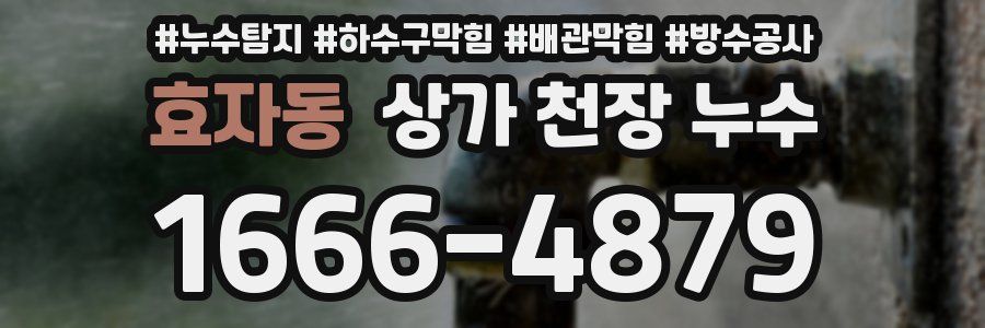 효자동 상가 천장 누수