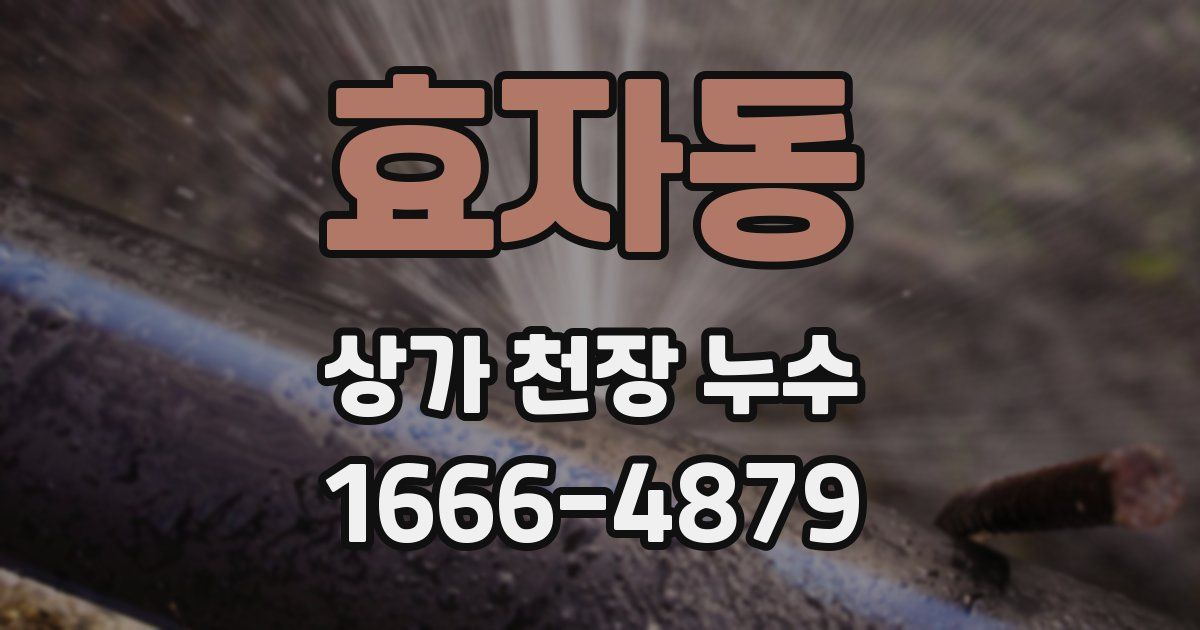 효자동 상가 천장 누수