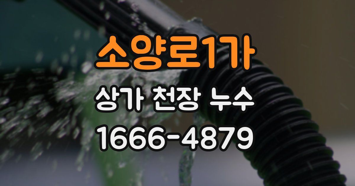 소양로1가 상가 천장 누수