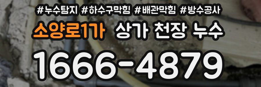 소양로1가 상가 천장 누수