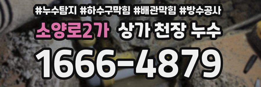 소양로2가 상가 천장 누수