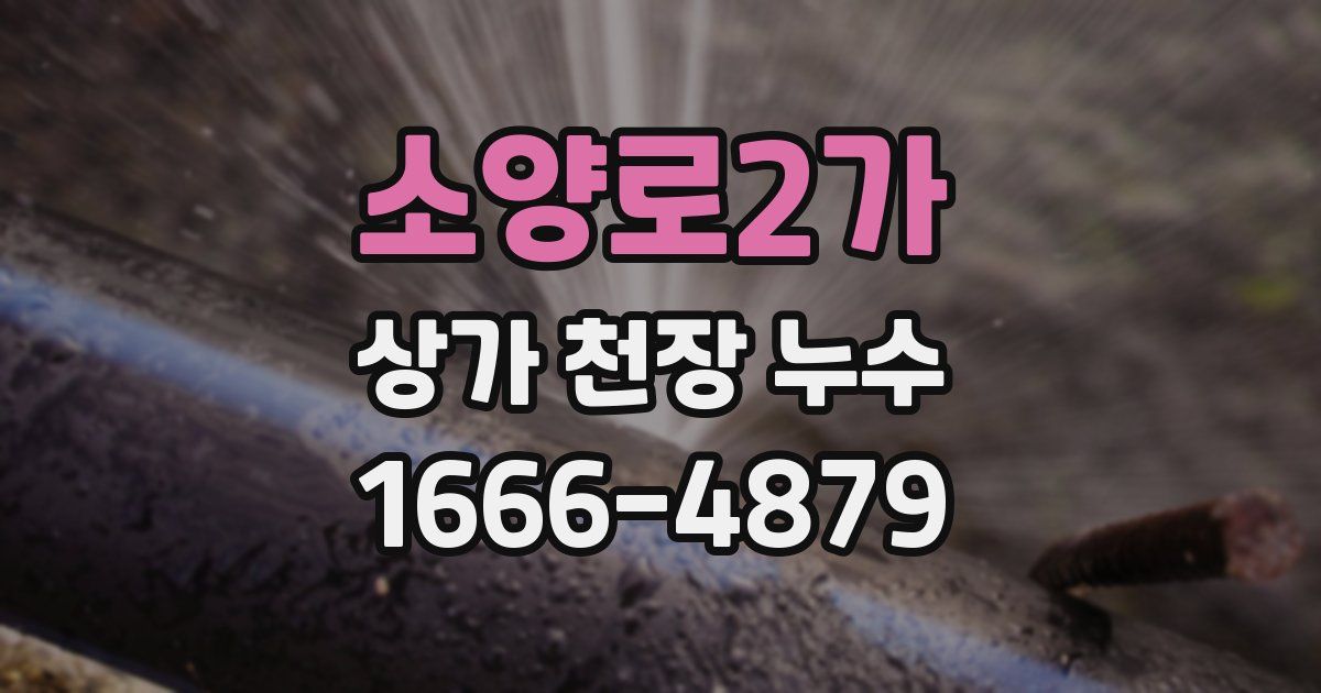 소양로2가 상가 천장 누수