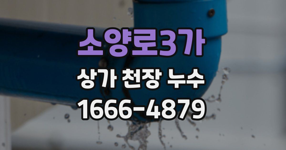 소양로3가 상가 천장 누수