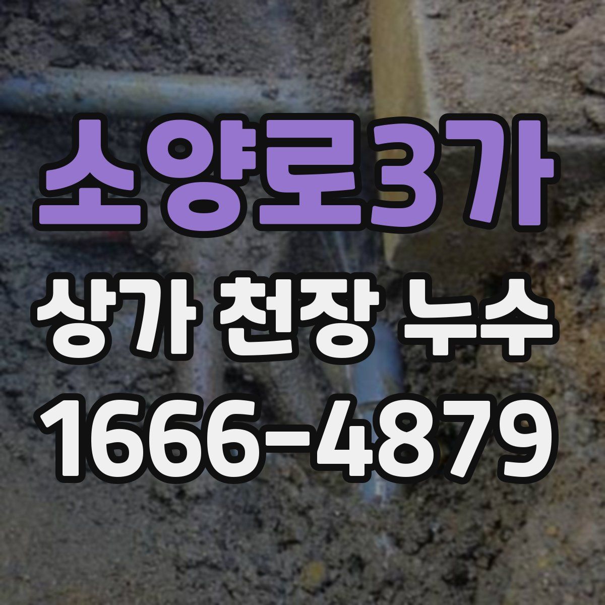 소양로3가 상가 천장 누수
