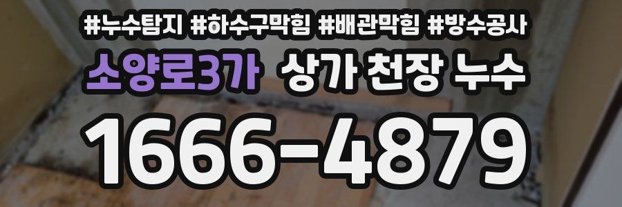 소양로3가 상가 천장 누수