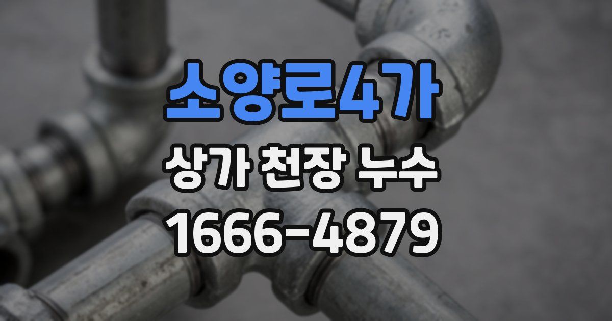 소양로4가 상가 천장 누수