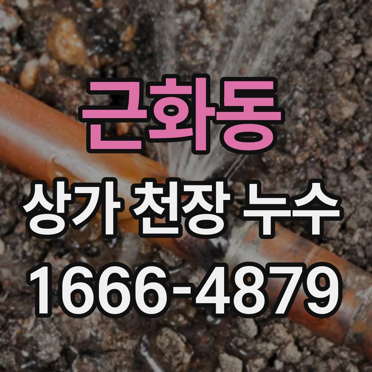 근화동 상가 천장 누수