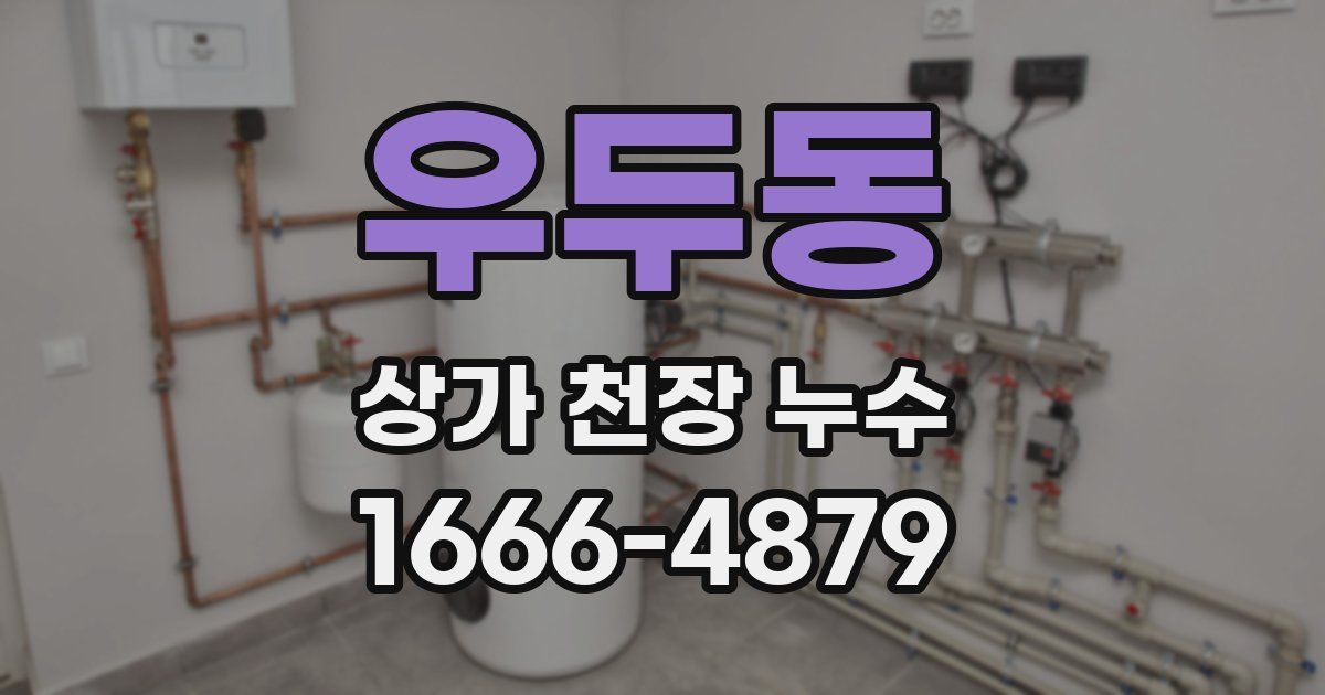 우두동 상가 천장 누수