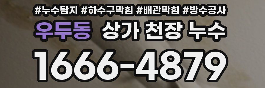 우두동 상가 천장 누수