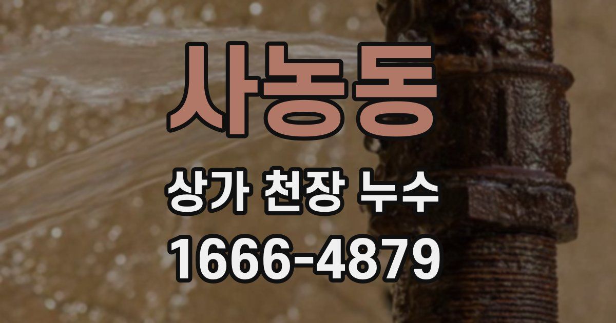 사농동 상가 천장 누수