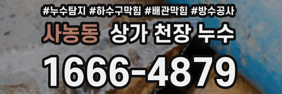 사농동 상가 천장 누수