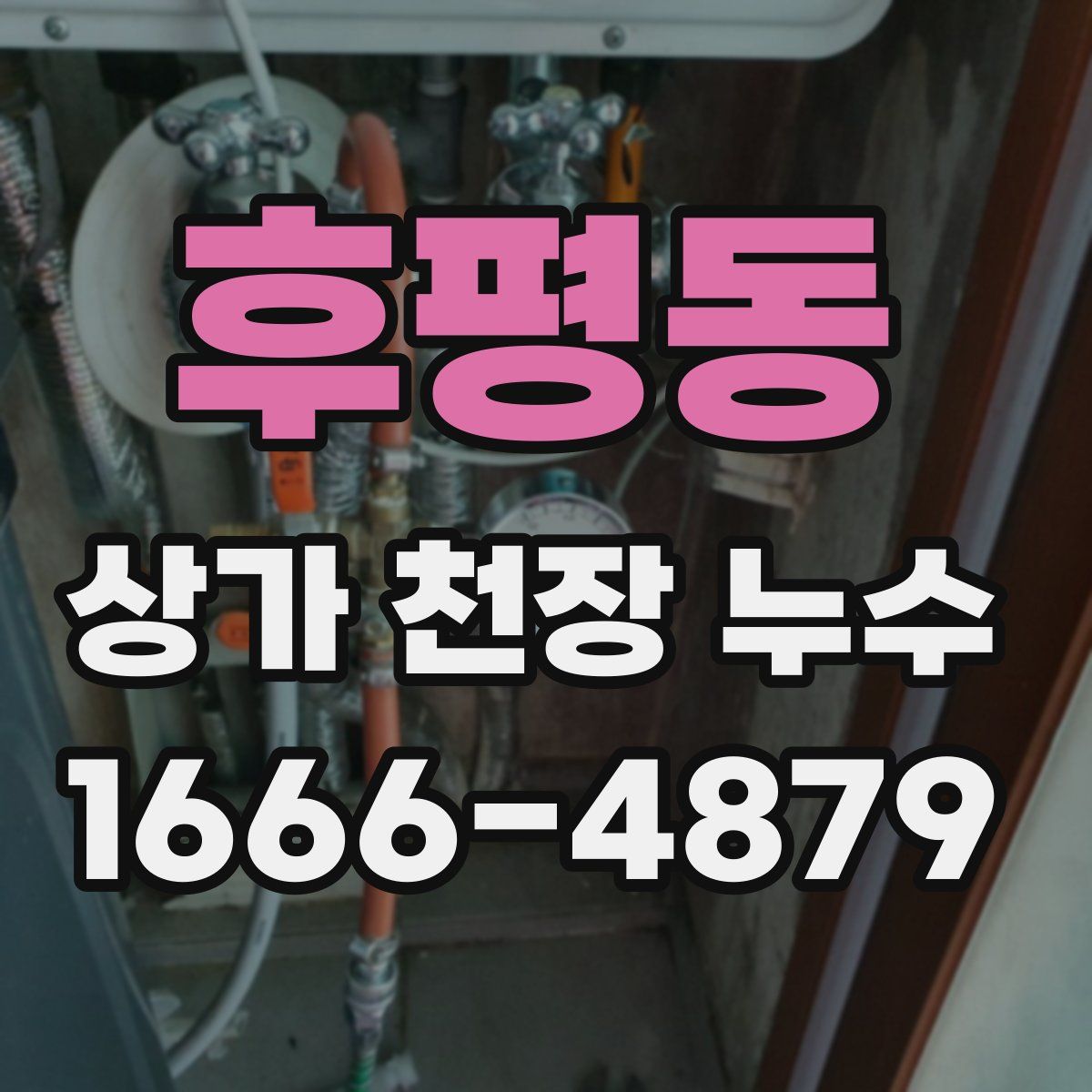 후평동 상가 천장 누수