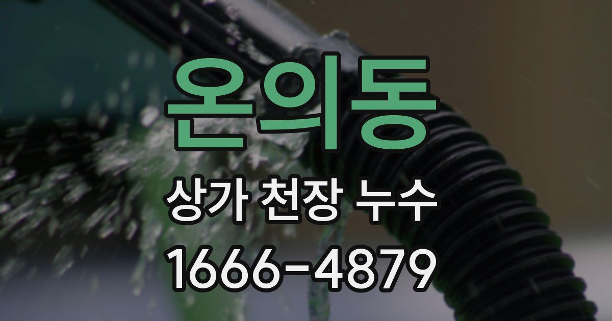 온의동 상가 천장 누수