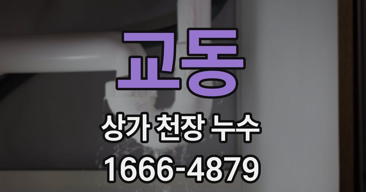 교동 상가 천장 누수
