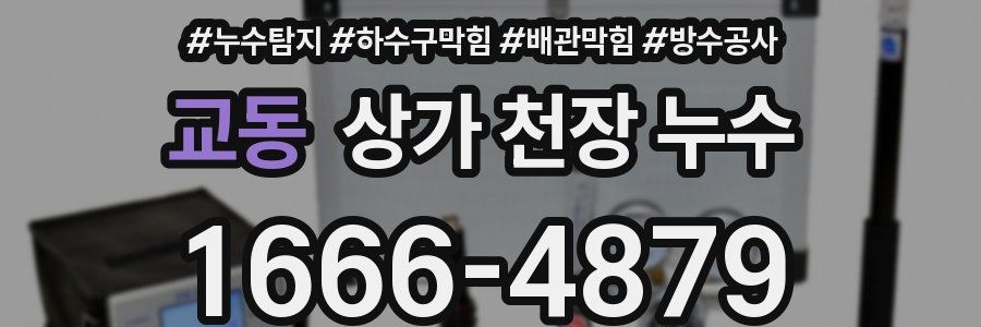 교동 상가 천장 누수