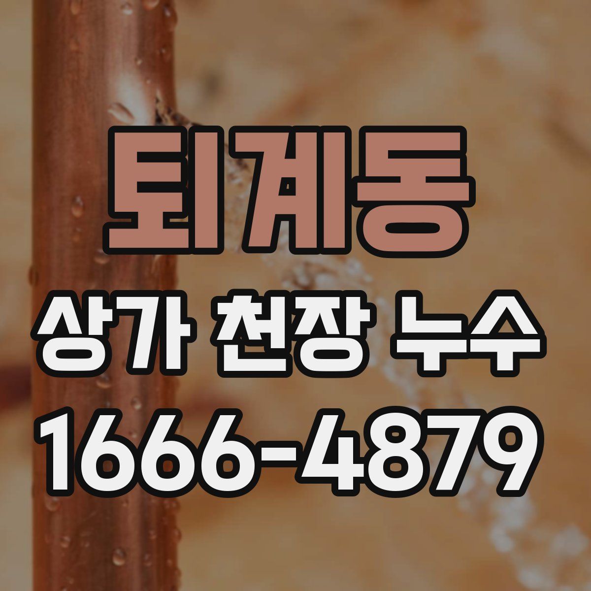 퇴계동 상가 천장 누수