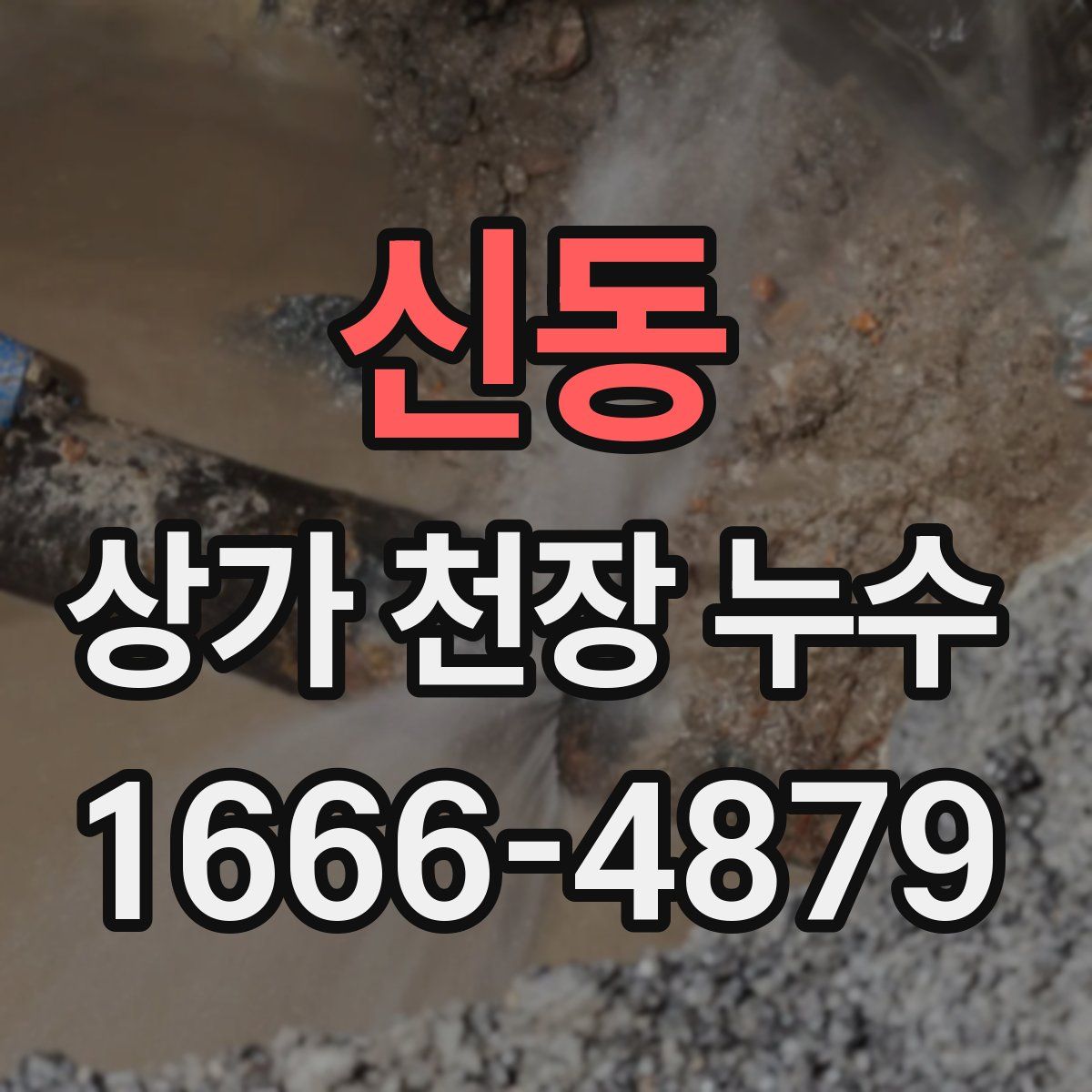 신동 상가 천장 누수