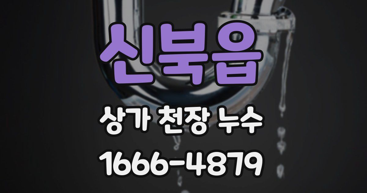 신북읍 상가 천장 누수