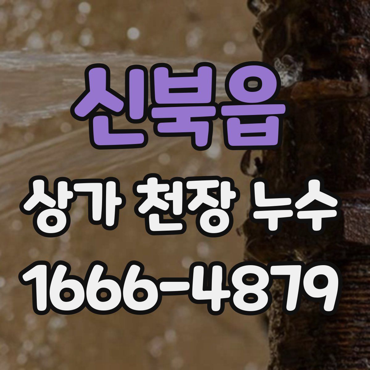 신북읍 상가 천장 누수