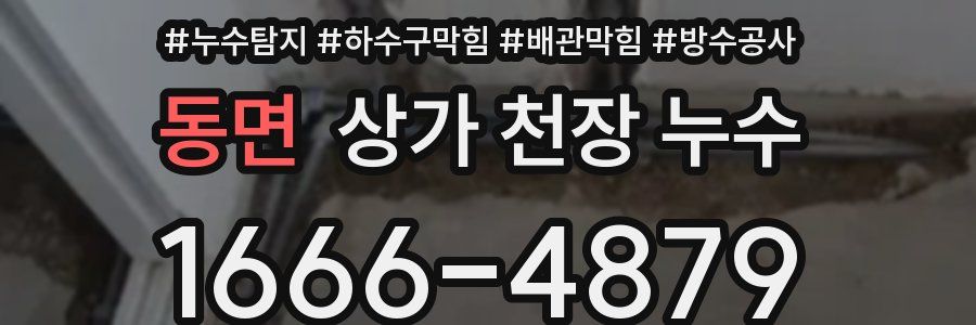 동면 상가 천장 누수