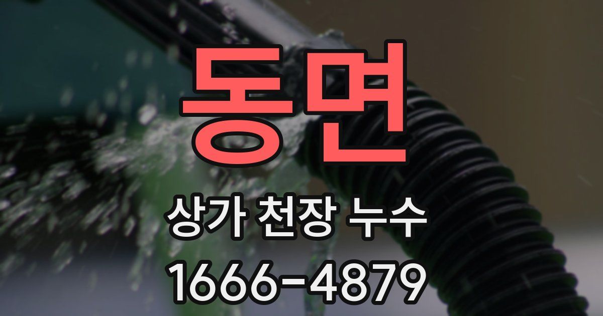 동면 상가 천장 누수