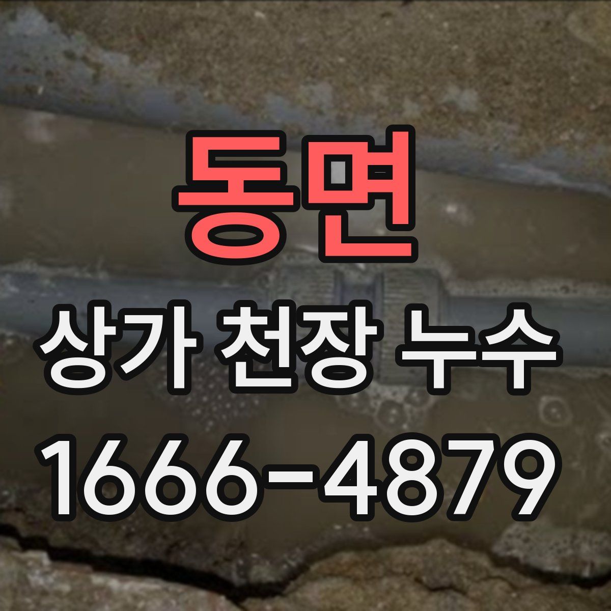 동면 상가 천장 누수