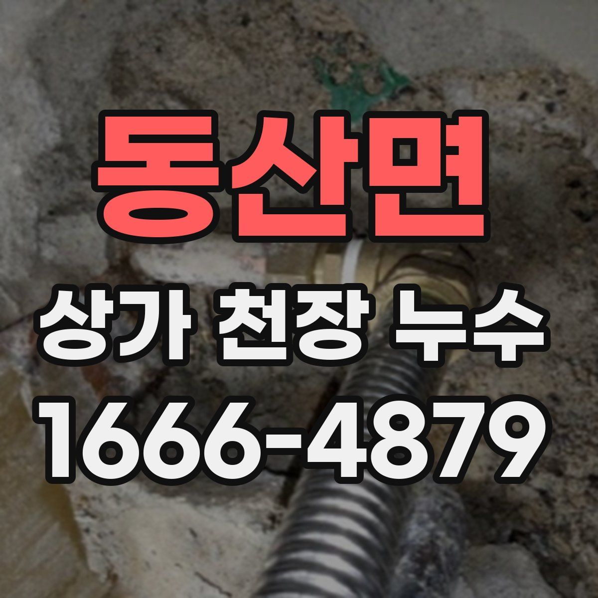 동산면 상가 천장 누수