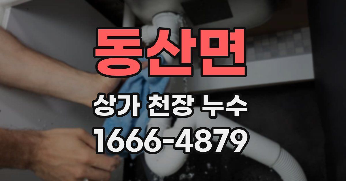 동산면 상가 천장 누수