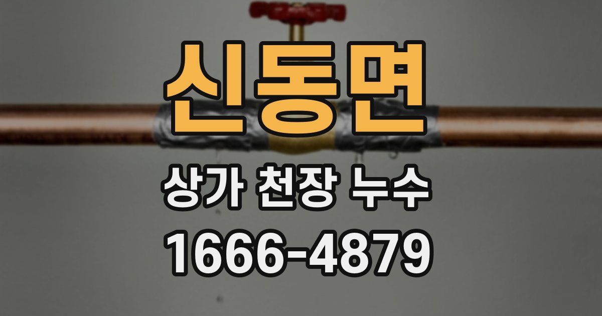신동면 상가 천장 누수