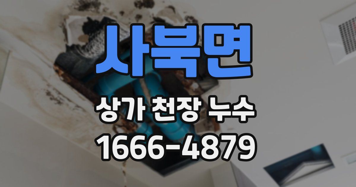 사북면 상가 천장 누수