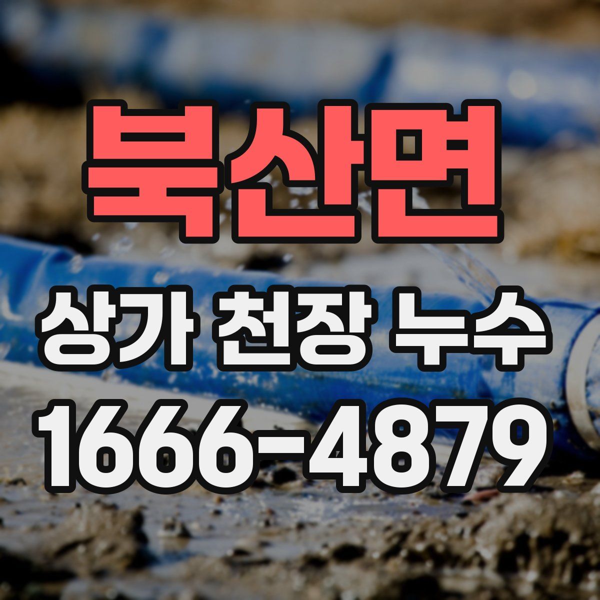 북산면 상가 천장 누수