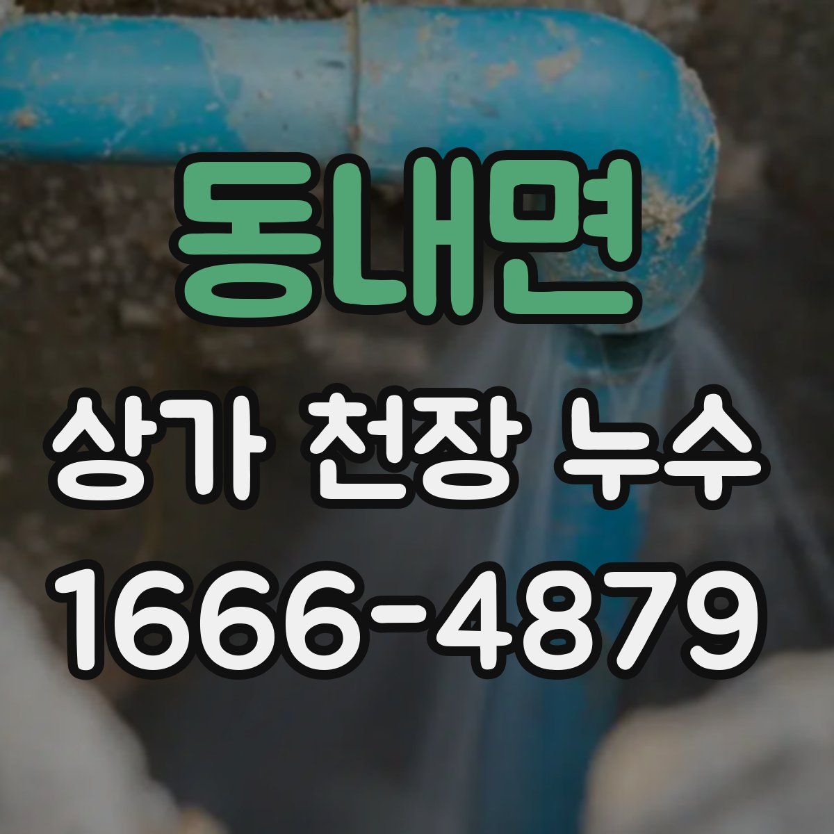 동내면 상가 천장 누수
