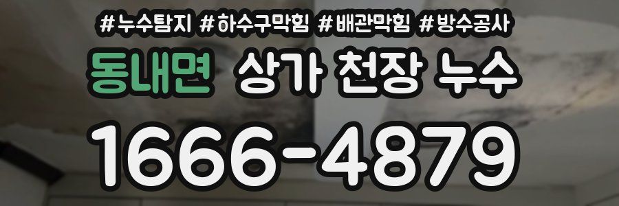 동내면 상가 천장 누수