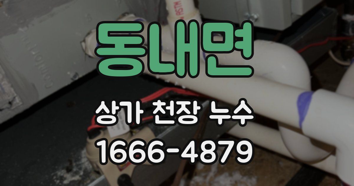 동내면 상가 천장 누수