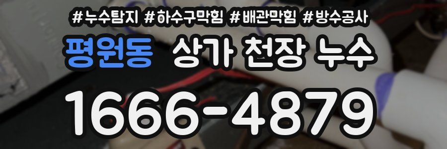 평원동 상가 천장 누수