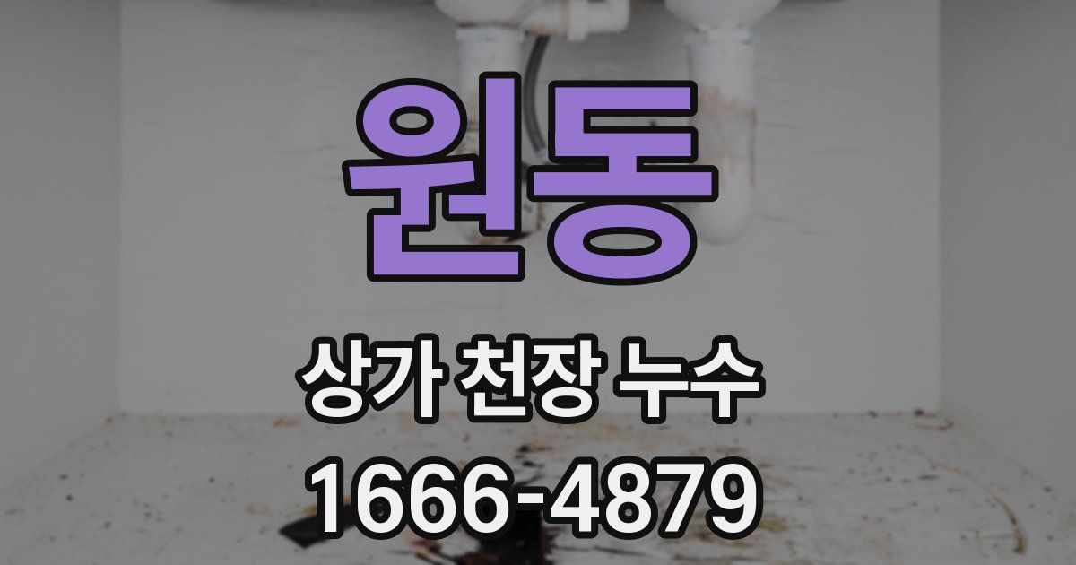 원동 상가 천장 누수
