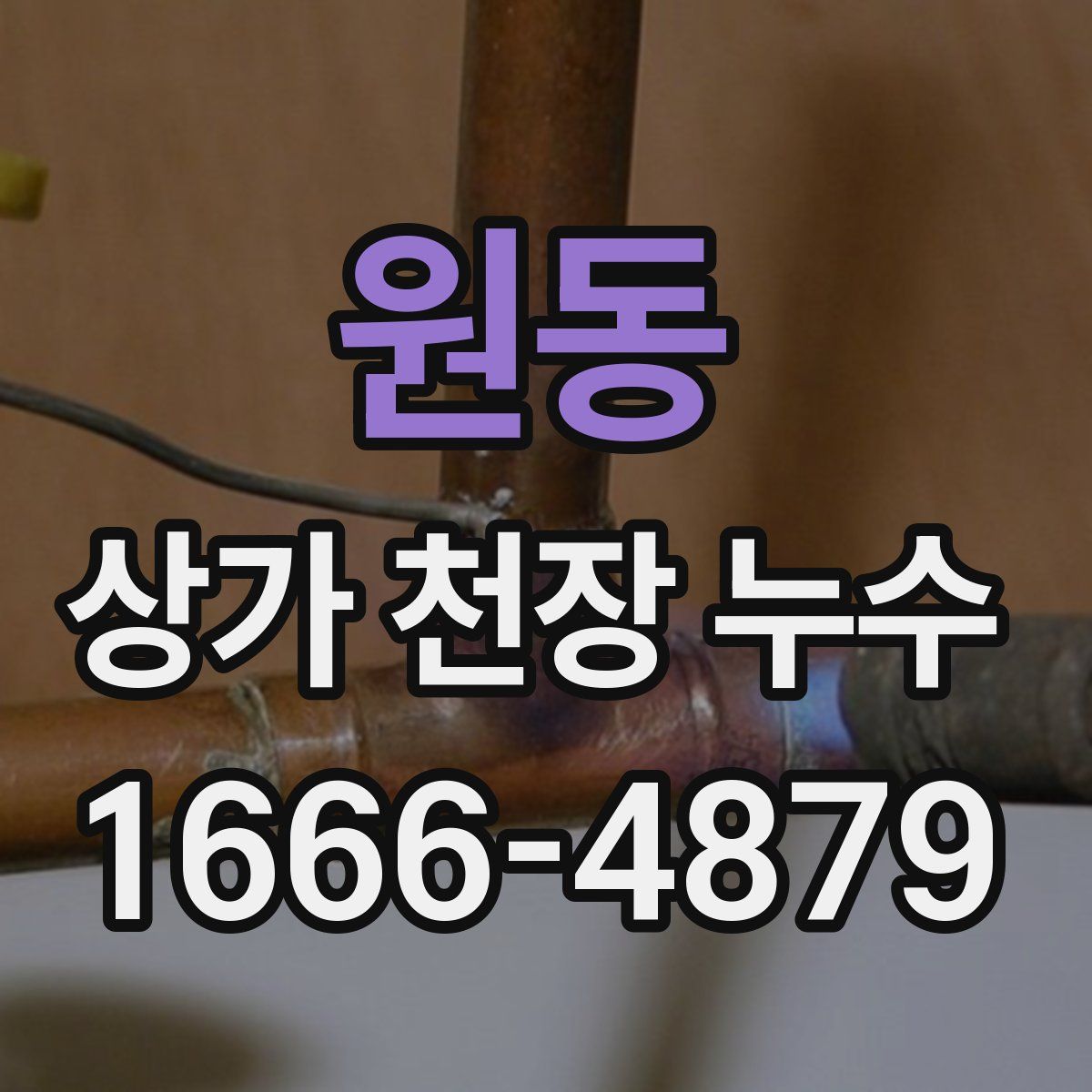 원동 상가 천장 누수