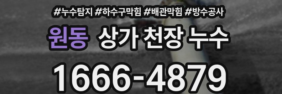 원동 상가 천장 누수