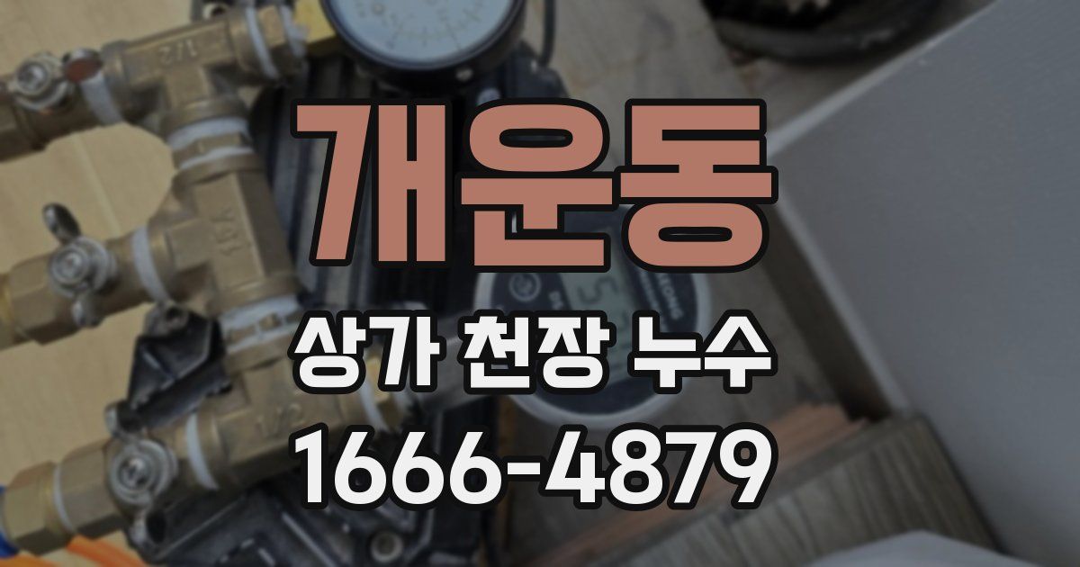 개운동 상가 천장 누수