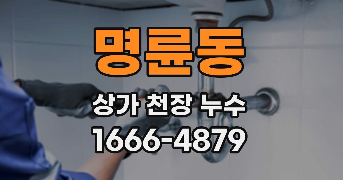 명륜동 상가 천장 누수