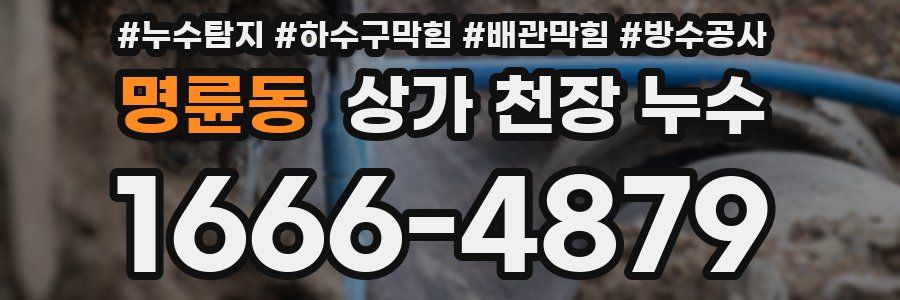 명륜동 상가 천장 누수