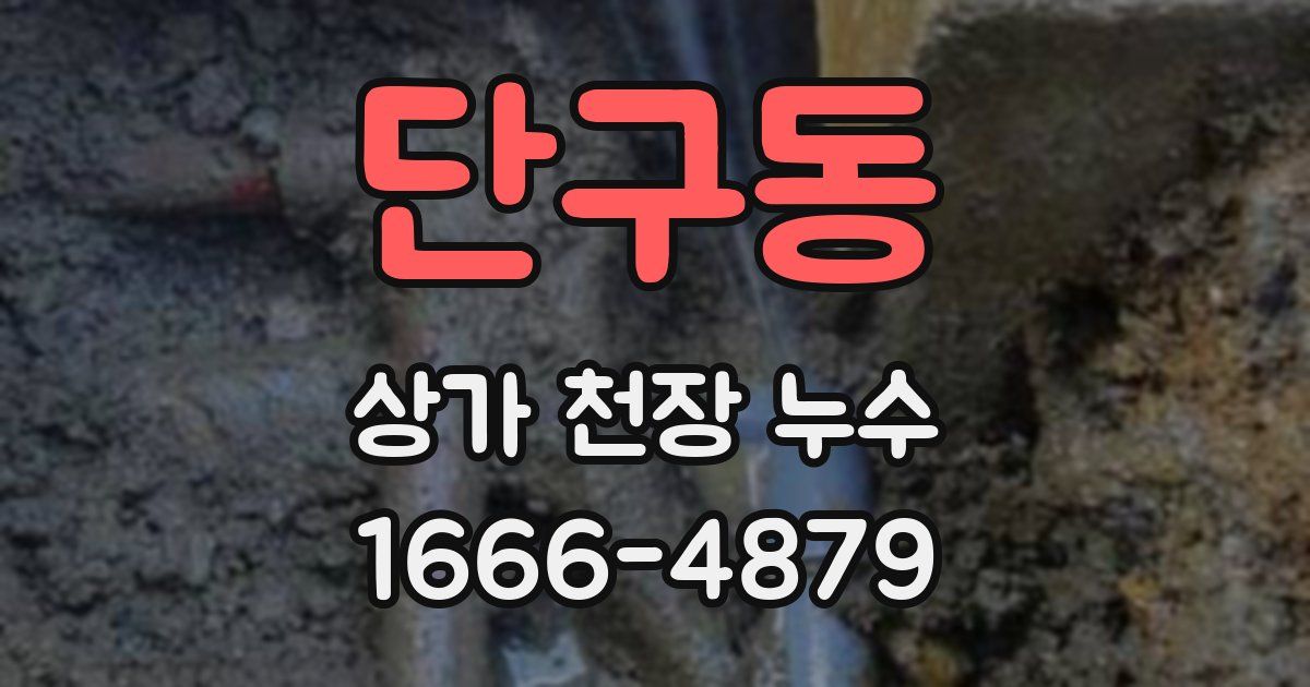 단구동 상가 천장 누수