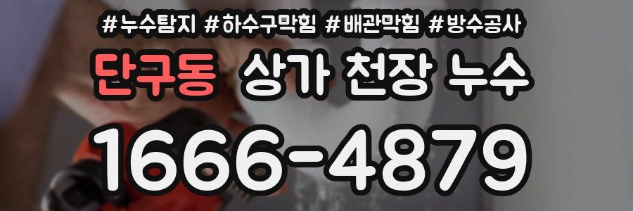 단구동 상가 천장 누수