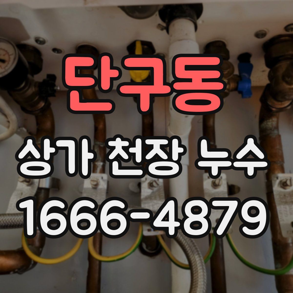 단구동 상가 천장 누수