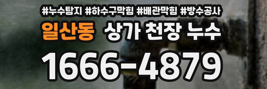 일산동 상가 천장 누수