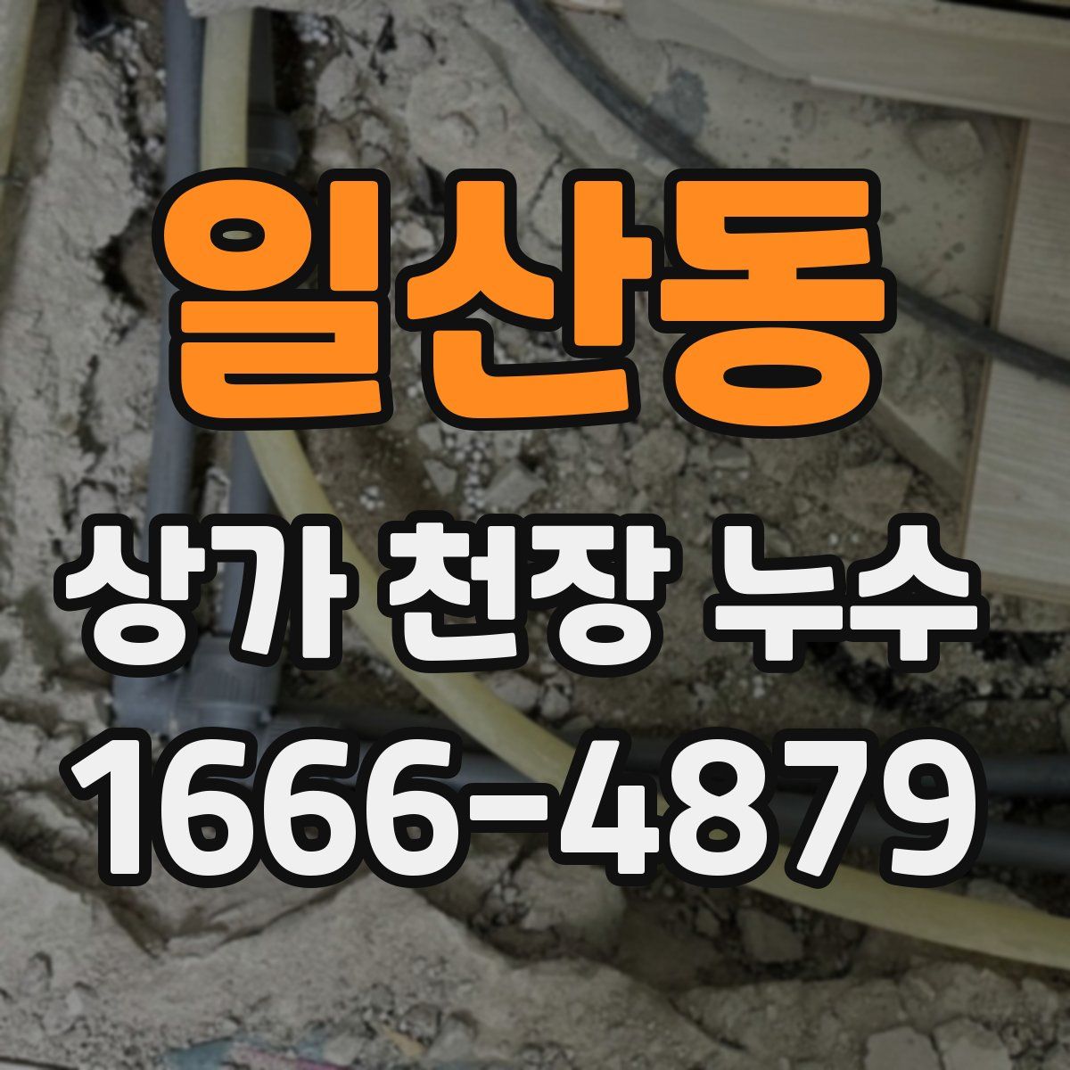 일산동 상가 천장 누수