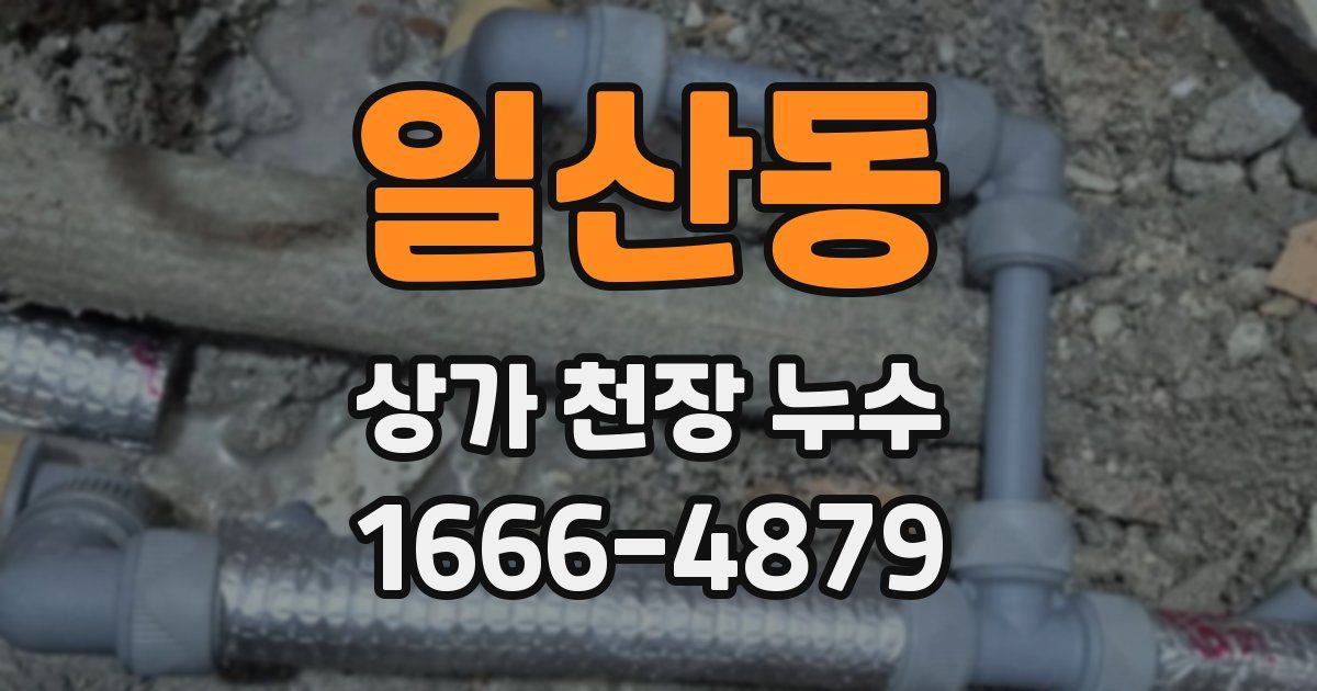 일산동 상가 천장 누수