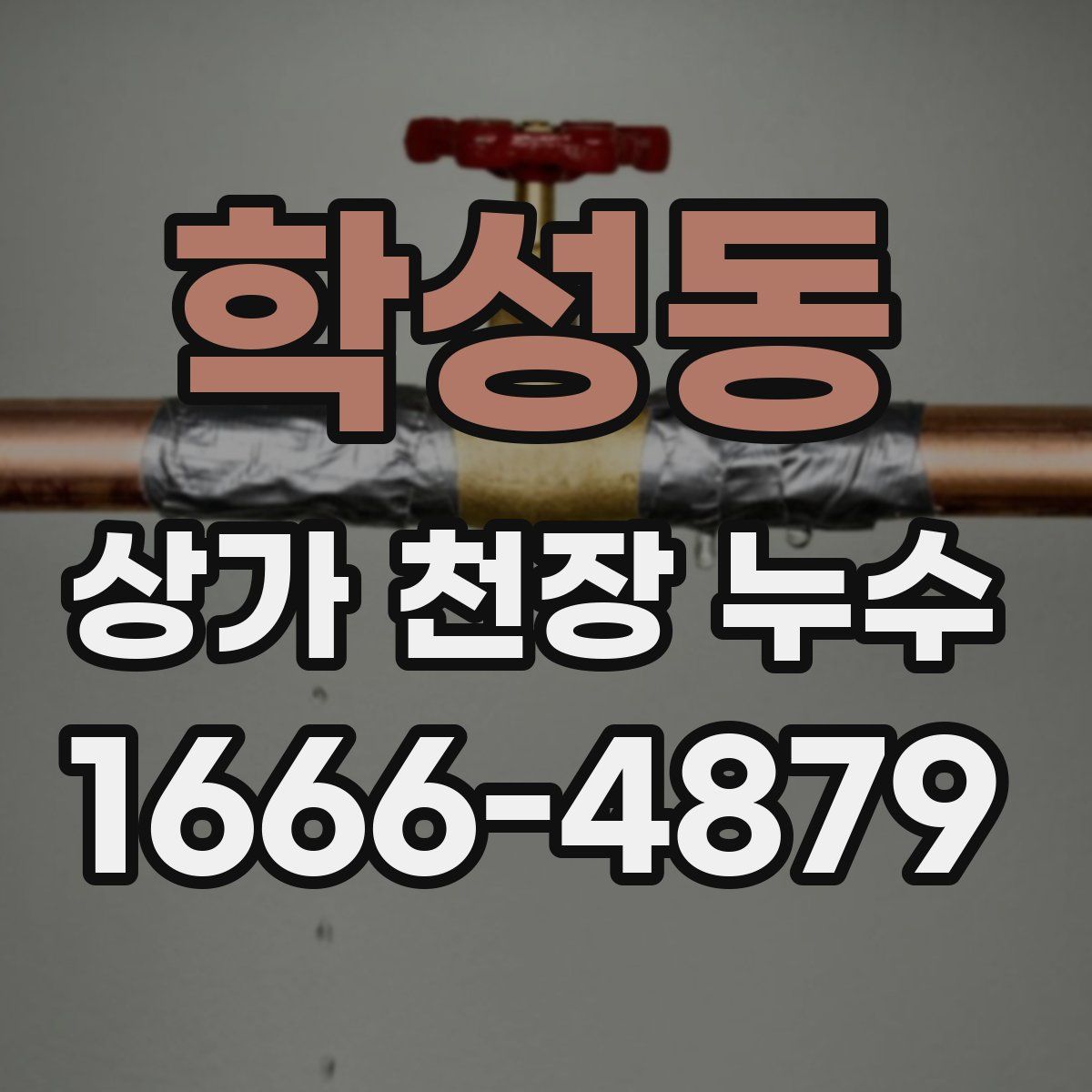 학성동 상가 천장 누수