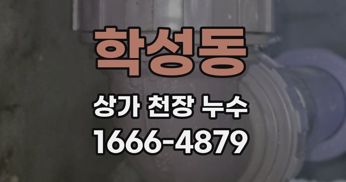 학성동 상가 천장 누수